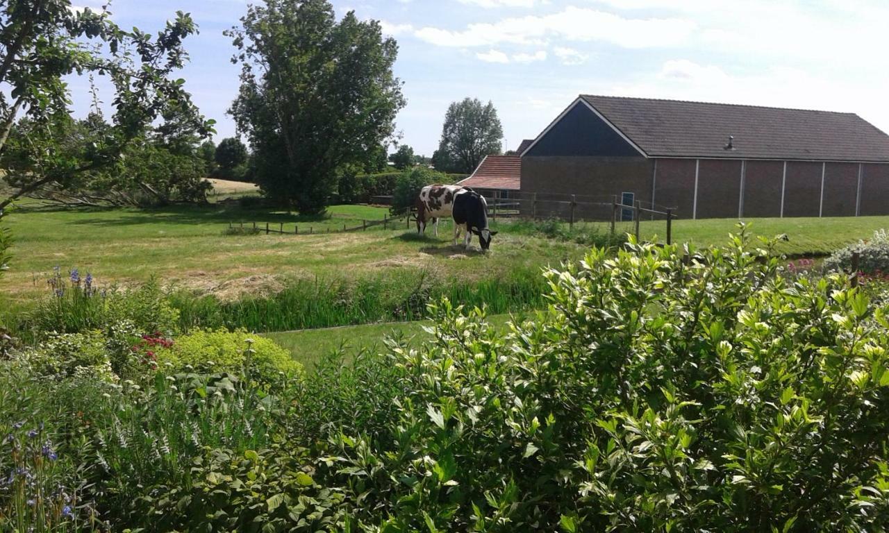 Bbwesteinder Vof Kudelstaart Exteriér fotografie